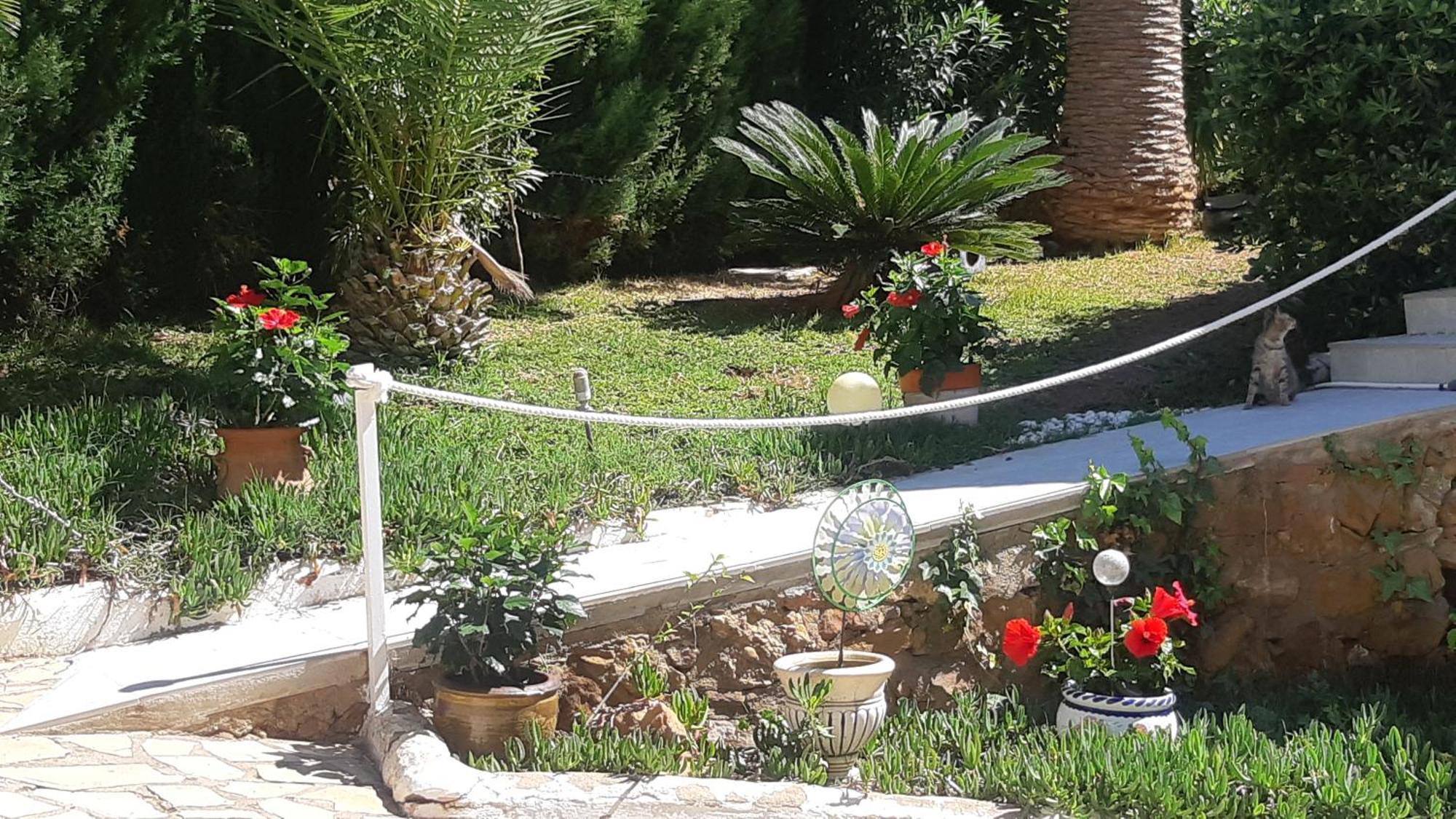 Ferienwohnung Mit Privat-Pool Alcossebre Zewnętrze zdjęcie