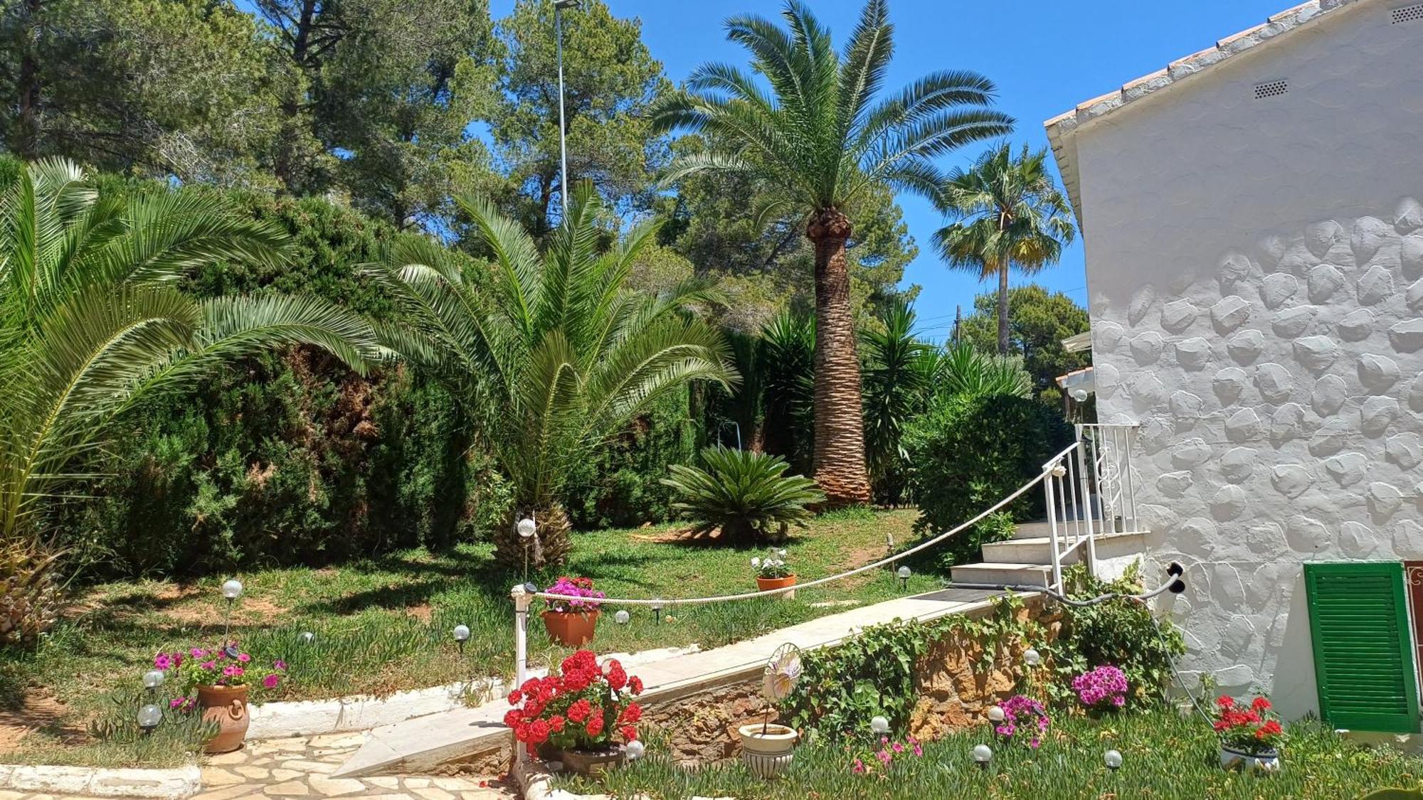 Ferienwohnung Mit Privat-Pool Alcossebre Zewnętrze zdjęcie